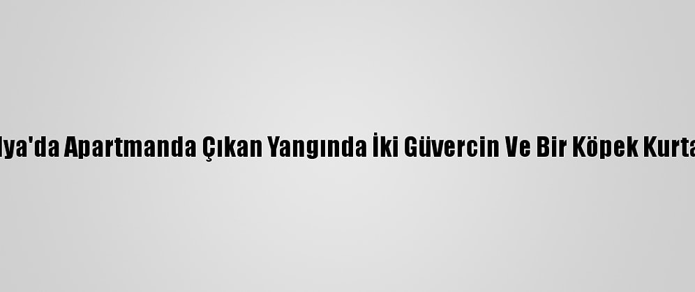 Antalya'da Apartmanda Çıkan Yangında İki Güvercin Ve Bir Köpek Kurtarıldı