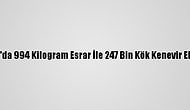 Diyarbakır'da 994 Kilogram Esrar İle 247 Bin Kök Kenevir Ele Geçirildi