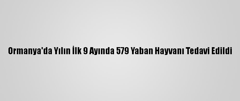 Ormanya'da Yılın İlk 9 Ayında 579 Yaban Hayvanı Tedavi Edildi