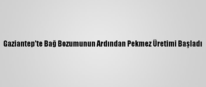 Gaziantep'te Bağ Bozumunun Ardından Pekmez Üretimi Başladı