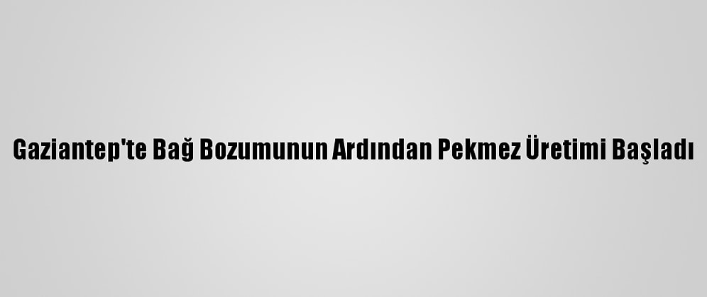 Gaziantep'te Bağ Bozumunun Ardından Pekmez Üretimi Başladı