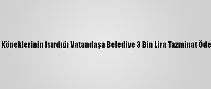 Sokak Köpeklerinin Isırdığı Vatandaşa Belediye 3 Bin Lira Tazminat Ödeyecek