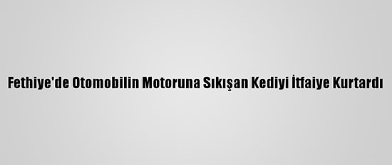 Fethiye'de Otomobilin Motoruna Sıkışan Kediyi İtfaiye Kurtardı