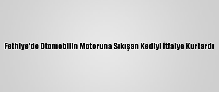 Fethiye'de Otomobilin Motoruna Sıkışan Kediyi İtfaiye Kurtardı