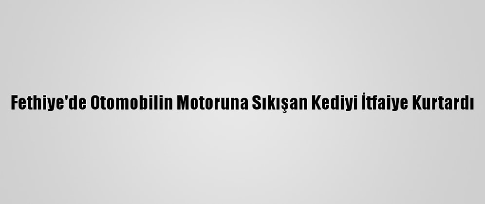 Fethiye'de Otomobilin Motoruna Sıkışan Kediyi İtfaiye Kurtardı