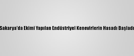 Sakarya'da Ekimi Yapılan Endüstriyel Kenevirlerin Hasadı Başladı
