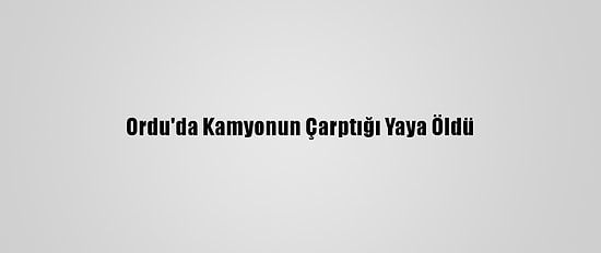 Ordu'da Kamyonun Çarptığı Yaya Öldü