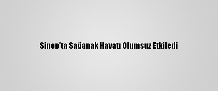 Sinop'ta Sağanak Hayatı Olumsuz Etkiledi