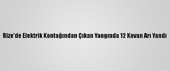 Rize'de Elektrik Kontağından Çıkan Yangında 12 Kovan Arı Yandı