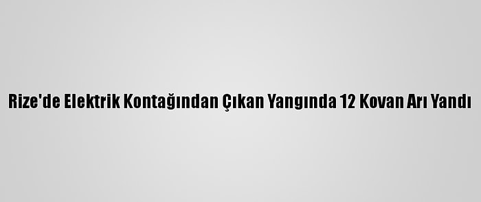 Rize'de Elektrik Kontağından Çıkan Yangında 12 Kovan Arı Yandı