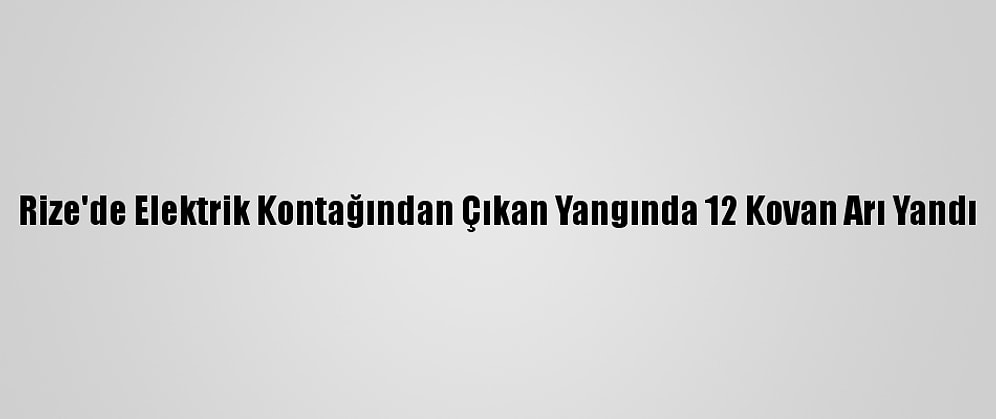Rize'de Elektrik Kontağından Çıkan Yangında 12 Kovan Arı Yandı