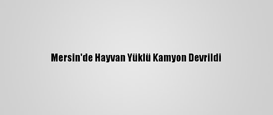 Mersin'de Hayvan Yüklü Kamyon Devrildi
