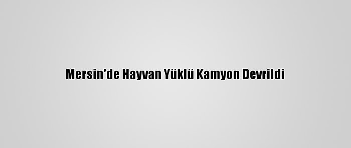 Mersin'de Hayvan Yüklü Kamyon Devrildi