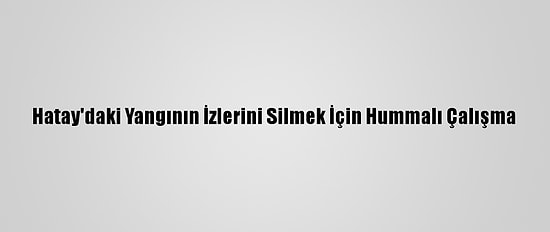 Hatay'daki Yangının İzlerini Silmek İçin Hummalı Çalışma