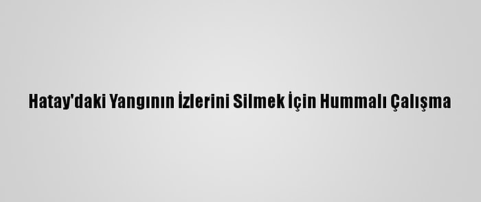 Hatay'daki Yangının İzlerini Silmek İçin Hummalı Çalışma