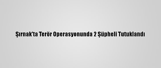 Şırnak'ta Terör Operasyonunda 2 Şüpheli Tutuklandı