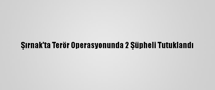 Şırnak'ta Terör Operasyonunda 2 Şüpheli Tutuklandı