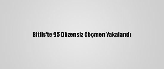 Bitlis'te 95 Düzensiz Göçmen Yakalandı