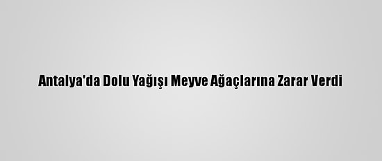 Antalya'da Dolu Yağışı Meyve Ağaçlarına Zarar Verdi