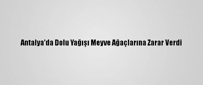 Antalya'da Dolu Yağışı Meyve Ağaçlarına Zarar Verdi