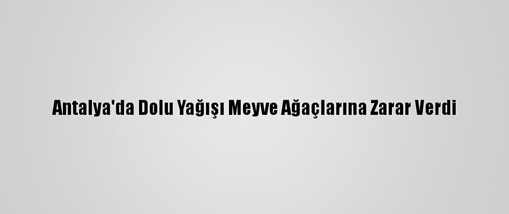 Antalya'da Dolu Yağışı Meyve Ağaçlarına Zarar Verdi