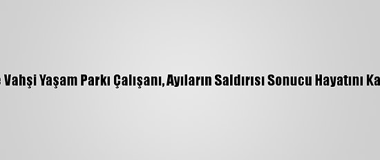 Çin'de Vahşi Yaşam Parkı Çalışanı, Ayıların Saldırısı Sonucu Hayatını Kaybetti