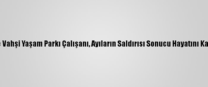 Çin'de Vahşi Yaşam Parkı Çalışanı, Ayıların Saldırısı Sonucu Hayatını Kaybetti