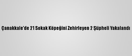 Çanakkale'de 21 Sokak Köpeğini Zehirleyen 2 Şüpheli Yakalandı