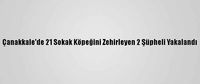 Çanakkale'de 21 Sokak Köpeğini Zehirleyen 2 Şüpheli Yakalandı