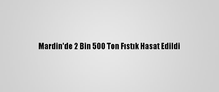 Mardin'de 2 Bin 500 Ton Fıstık Hasat Edildi