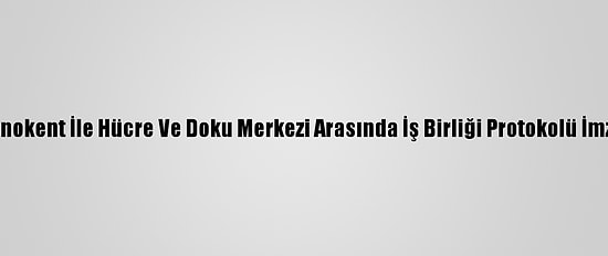 Ktü Teknokent İle Hücre Ve Doku Merkezi Arasında İş Birliği Protokolü İmzalandı