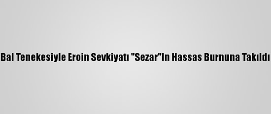 Bal Tenekesiyle Eroin Sevkiyatı "Sezar"In Hassas Burnuna Takıldı