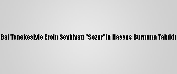 Bal Tenekesiyle Eroin Sevkiyatı "Sezar"In Hassas Burnuna Takıldı