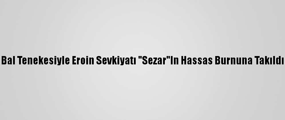 Bal Tenekesiyle Eroin Sevkiyatı "Sezar"In Hassas Burnuna Takıldı