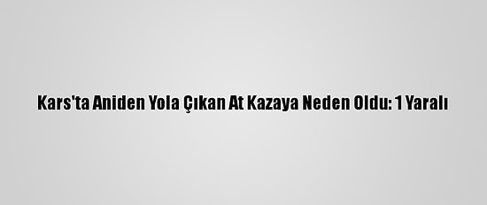 Kars'ta Aniden Yola Çıkan At Kazaya Neden Oldu: 1 Yaralı