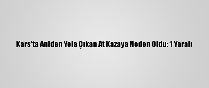 Kars'ta Aniden Yola Çıkan At Kazaya Neden Oldu: 1 Yaralı