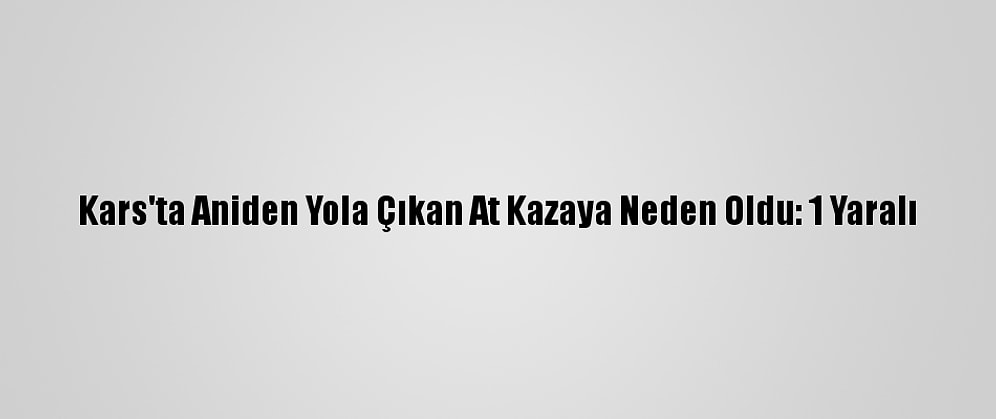 Kars'ta Aniden Yola Çıkan At Kazaya Neden Oldu: 1 Yaralı