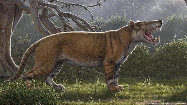 9. 10 bin yıl önce aslanlar insanlardan sonra dünyada en fazla bulunan kara memelileriydi.