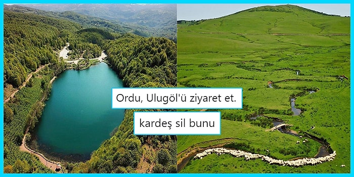 Sayfalarca Dile Getirilebilecek Veryansınları Tek Bir Tweet'e Sığdırmayı Başararak İğneleyici Paylaşımlara İmza Atmış 25 Kişi