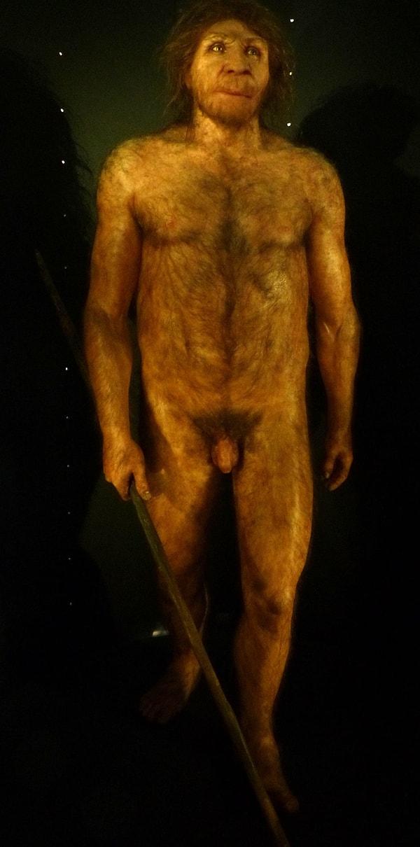 6. Homo Heidelbergensis (600 bin - 250 bin yıl önce)