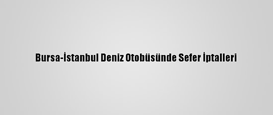 Bursa-İstanbul Deniz Otobüsünde Sefer İptalleri