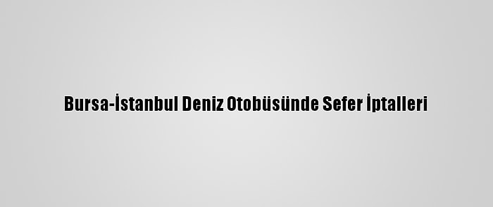 Bursa-İstanbul Deniz Otobüsünde Sefer İptalleri