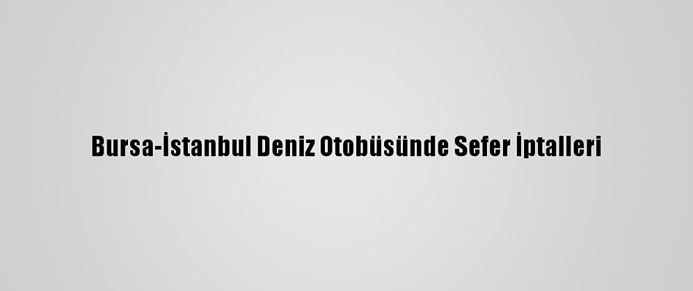 Bursa-İstanbul Deniz Otobüsünde Sefer İptalleri