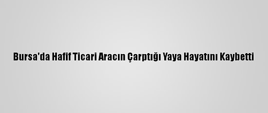 Bursa'da Hafif Ticari Aracın Çarptığı Yaya Hayatını Kaybetti