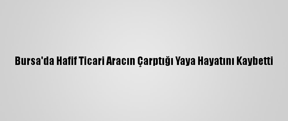 Bursa'da Hafif Ticari Aracın Çarptığı Yaya Hayatını Kaybetti