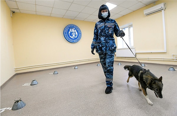 3. Об этом проекте 2 октября сообщила Татьяна Голикова, Заместитель Председателя Правительства Российской Федерации.