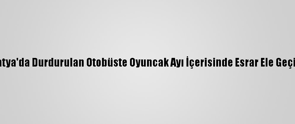 Malatya'da Durdurulan Otobüste Oyuncak Ayı İçerisinde Esrar Ele Geçirildi