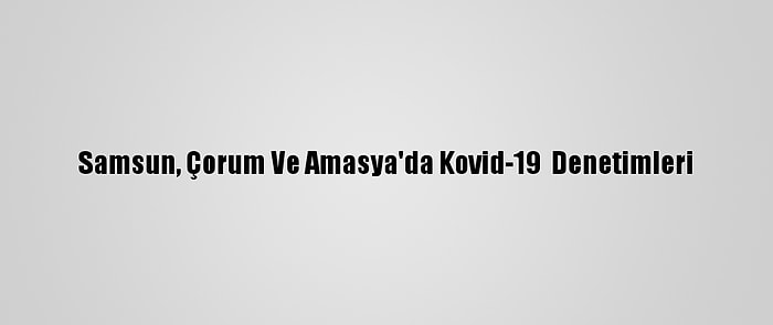 Samsun, Çorum Ve Amasya'da Kovid-19  Denetimleri