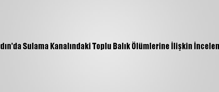 Aydın'da Sulama Kanalındaki Toplu Balık Ölümlerine İlişkin İnceleme