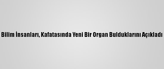 Bilim İnsanları, Kafatasında Yeni Bir Organ Bulduklarını Açıkladı